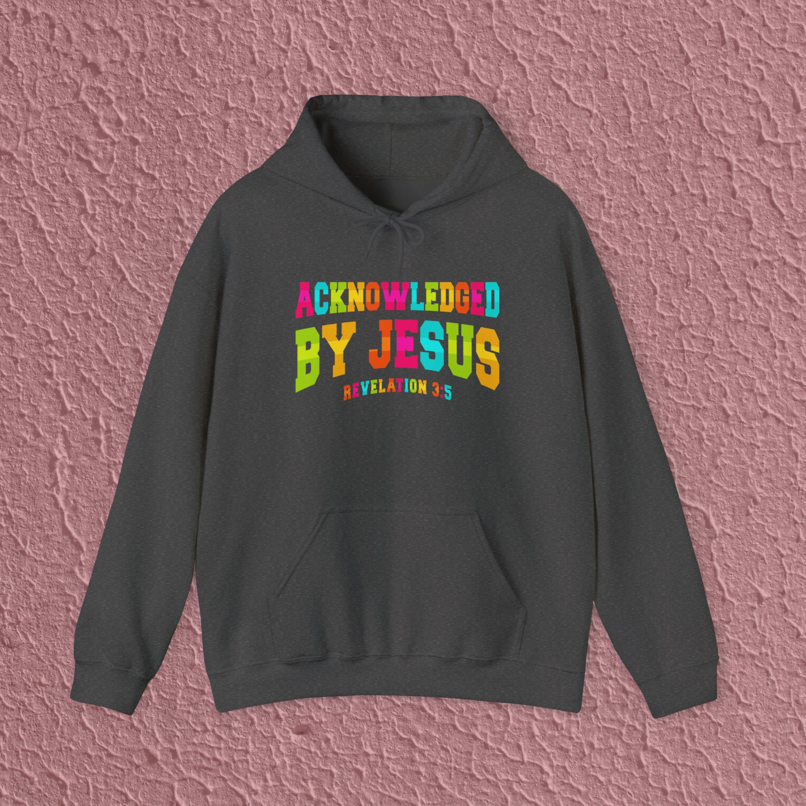 Acknowledged By Jesus Revelation 3:5 Christian Quote Hoodie